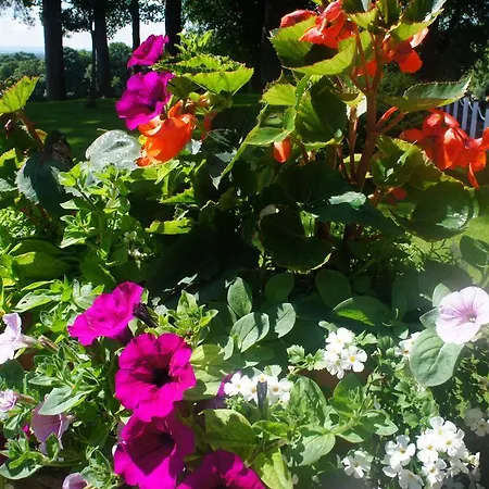 Manor Hotel&garden Hotel Appleby-in-Westmorland