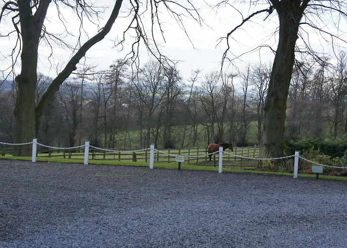 فندق Manor & Garden 4*