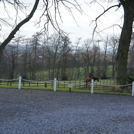 Otel Manor & Garden 4*